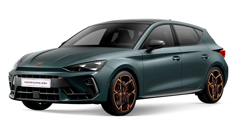 Modelo-CotiRapida-NUEVO-LEON